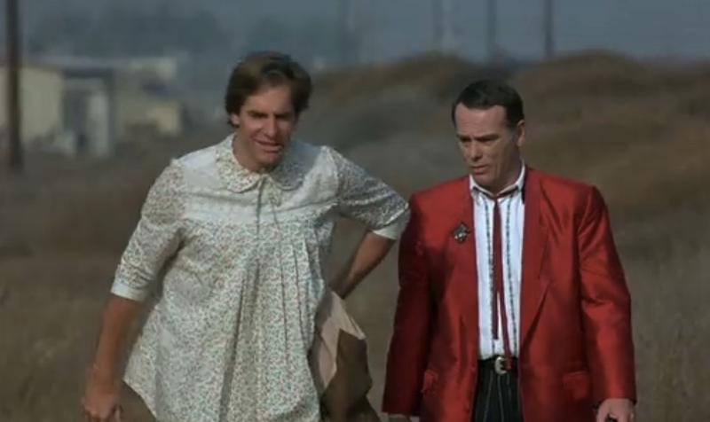 Illustration for article titled The 14 Weirdest Quantum Leap Episodes of All Time